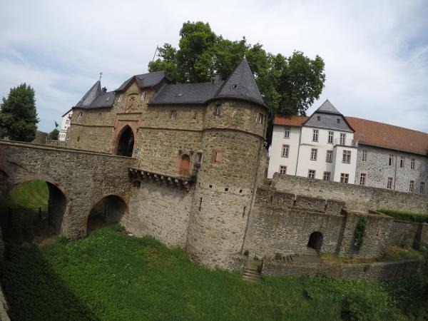friedberg2