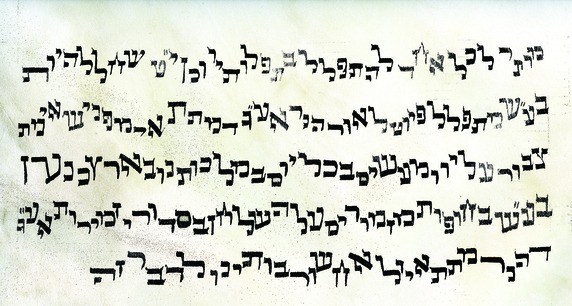 The Piyyut Kalman Gavriel Delmoor Ink on parchment. Scanned and printed (fusion wall). 2100x300cm